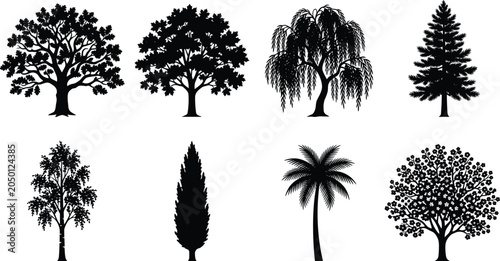 Set of black tree silhouettes featuring oak maple willow pine birch cypress palm and blooming cherry vector illustration