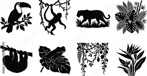 Photography Tropical rainforest jungle animals and plants vector icons set featuring toucan