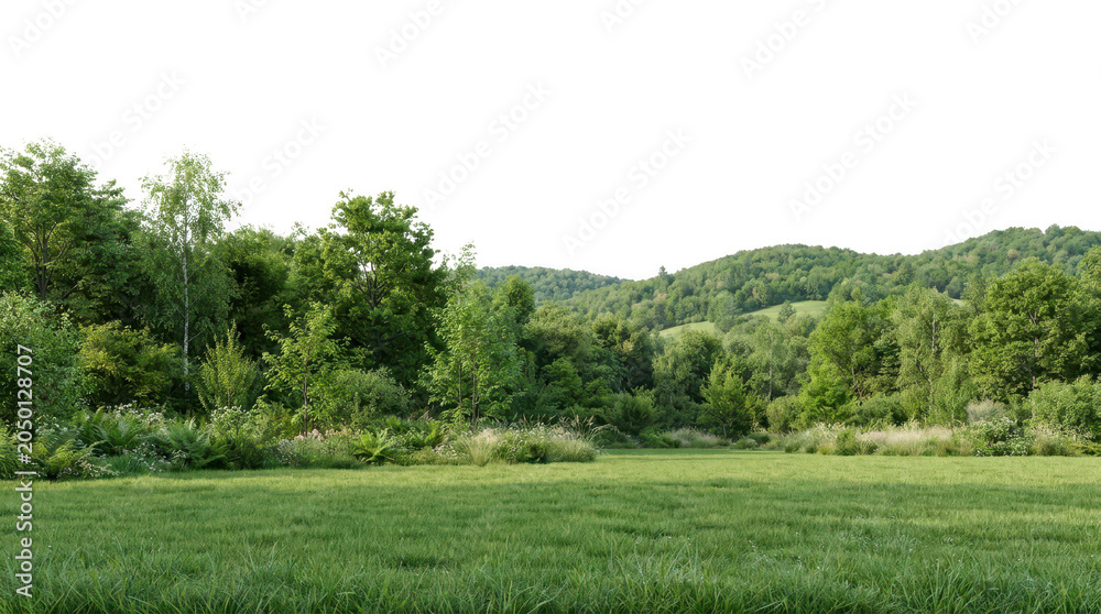 Obraz premium lush green forest with trees and meadow under a clear sky, transparent background.