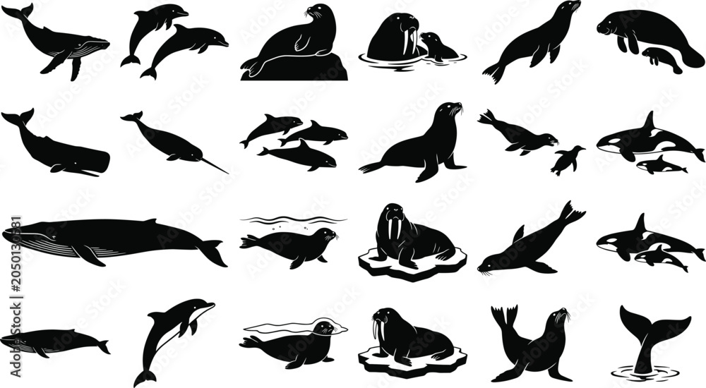 Fototapeta premium Marine Mammal Silhouette Collection Featuring Whales Dolphins Seals Walruses Orcas and Ocean Wildlife Animals