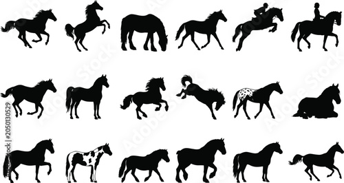 Tableau sur toile Horse Silhouette Collection Featuring Running Rearing Grazing Riding and Equestr