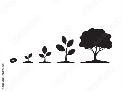 Foto Growth stages of a tree from seed to maturity silhouette collection vector isola