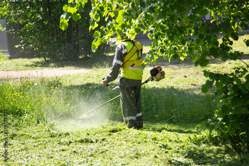 Grass is mowed by municipal services in the city.