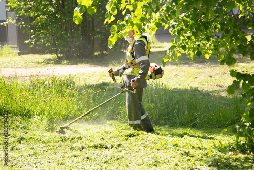 Grass is mowed by municipal services in the city.