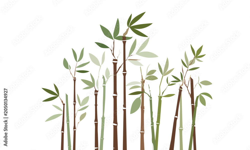 Naklejka premium tropical bamboo stalks