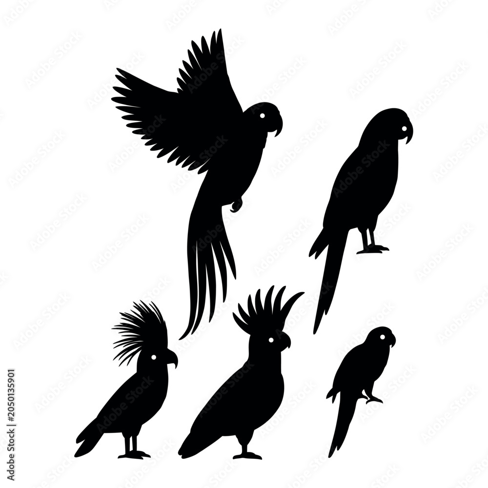 Fototapeta premium Isolated Tropical Bird Graphic Elements on White Background, Cockatoo and Macaw Silhouette Set.eps 