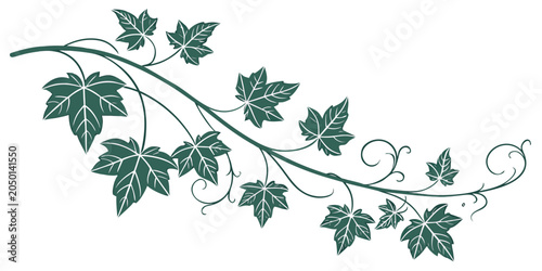 Quadro su tela Natural green ivy branch illustration with realistic leaf shapes and delicate vi