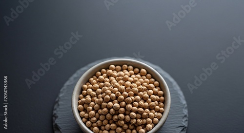 A white bowl filled with brown beans sits on a gray plate against a dark background.