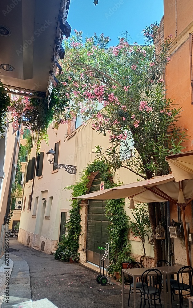 Obraz premium Historic City of Verona, Italy - lifestyle