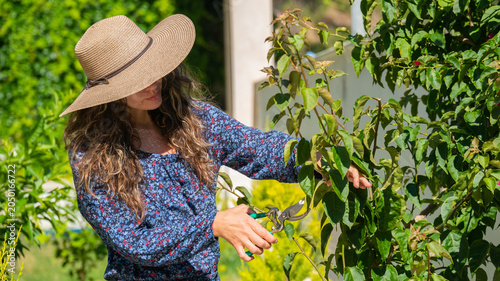 Tableau sur toile Medium shot of a woman in a floral dress using bypass garden pruners on a green