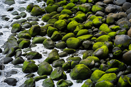 Atlantic Waves Washing Moss Covered Coastal Rocks