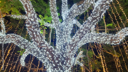 A large tree wrapped in glowing white fairy lights with golden light strings hanging in the background at night.