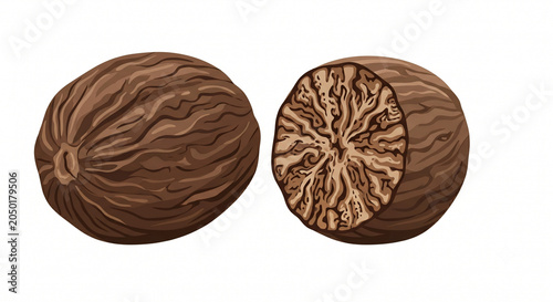 Whole and halved nutmeg seeds with intricate patterns during studio lighting isolated on white background