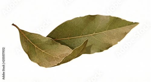 Two dried bay leaves with a natural texture resting on a clean white surface during diffuse studio lighting Isolated on white background