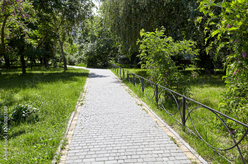 Pathway surrounded by trees and ornamental shrubs in Kyiv, Europe. Recreation place in the city street
