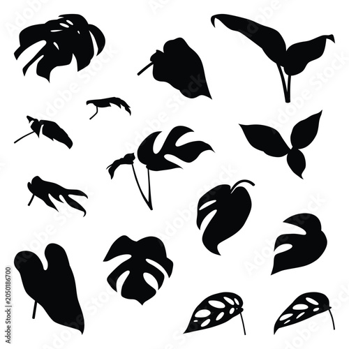 Vector collection set of ornamental leaf silhouettes.	