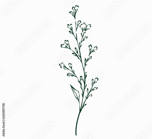 Hand Drawn Autumn Floral Branch Line Art Illustration