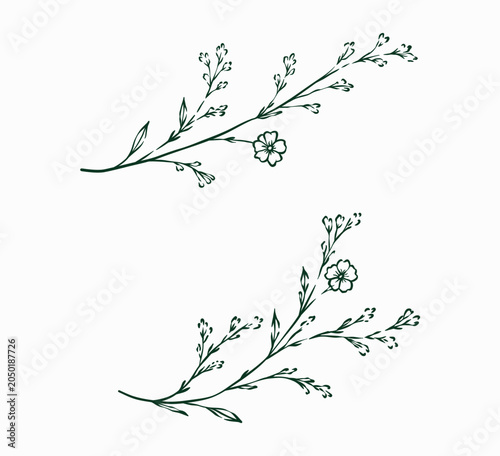 Hand Drawn Autumn Floral Branch Line Art Illustration