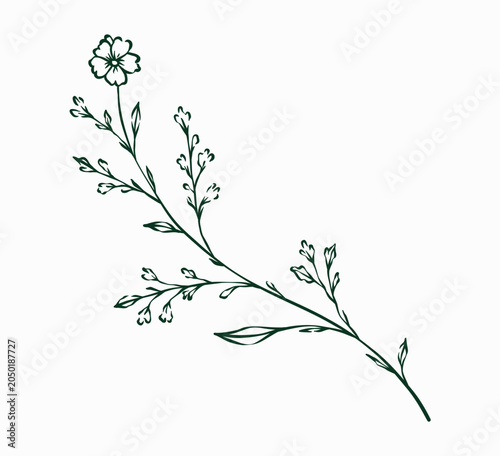 Hand Drawn Autumn Floral Branch Line Art Illustration