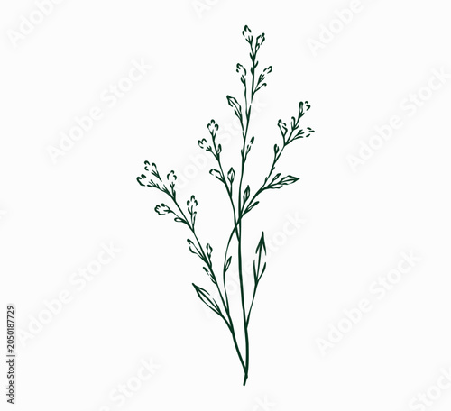 Hand Drawn Autumn Floral Branch Line Art Illustration