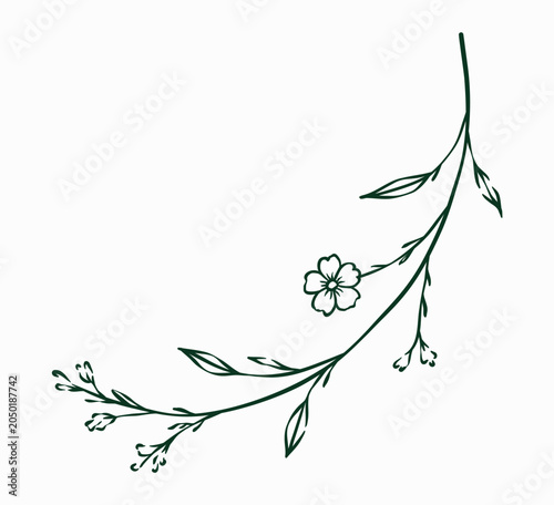 Hand Drawn Autumn Floral Branch Line Art Illustration