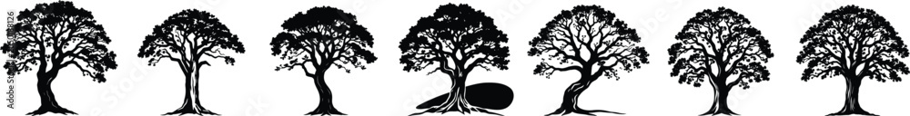 Obraz premium Ancient Oak Tree Silhouette Collection Isolated on White Background Nature Forest Design Set