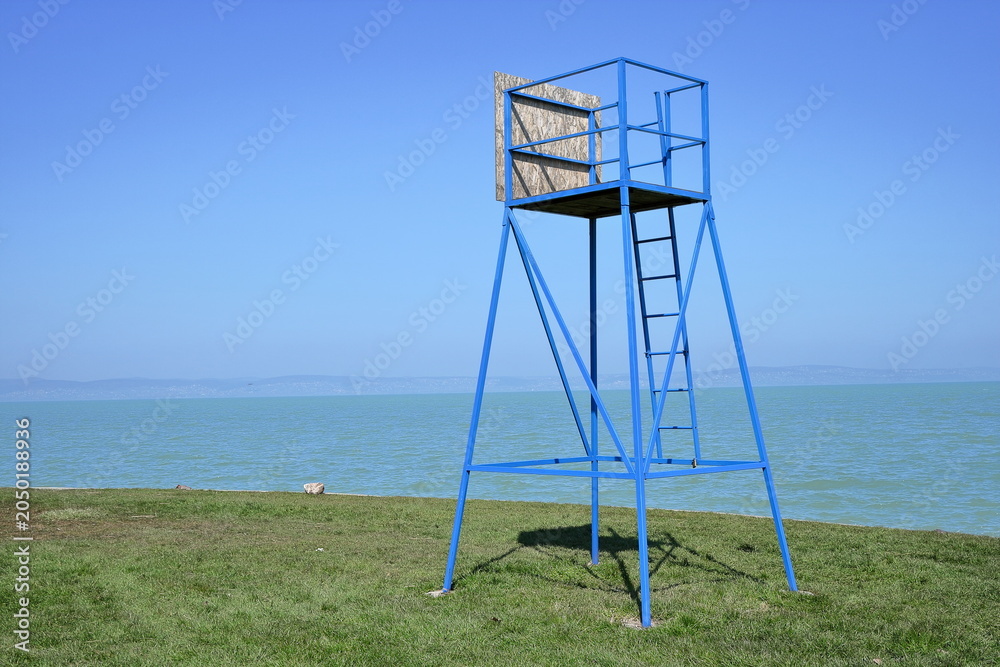 Fototapeta premium Aquatic rescue.