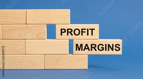 Profit margins concept wooden blocks with text on blue background