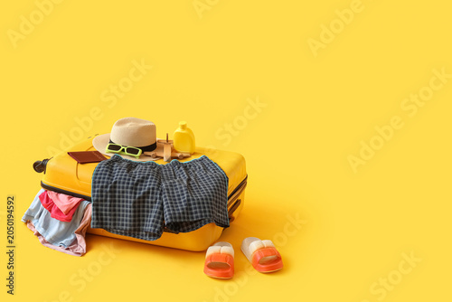 Suitcase with swimming trun...