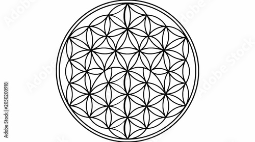 Flower of life sacred geometry symbol
