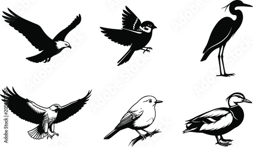 Bild auf Leinwand Black bird silhouette and line art set with flying perched and wading birds isol