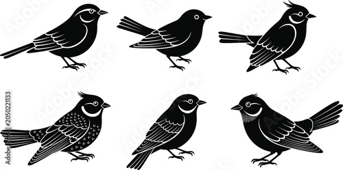 Bild auf Leinwand Black small bird silhouette set with perched songbirds isolated on white backgro