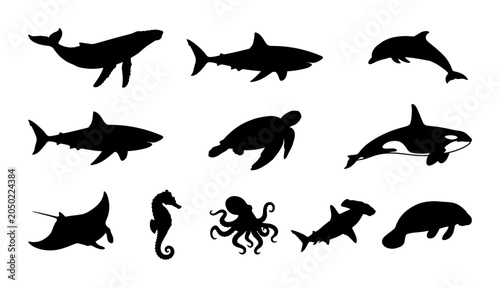 Silhouette collection of shark, dolphin, whale, seal, octopus, and other sea life forms