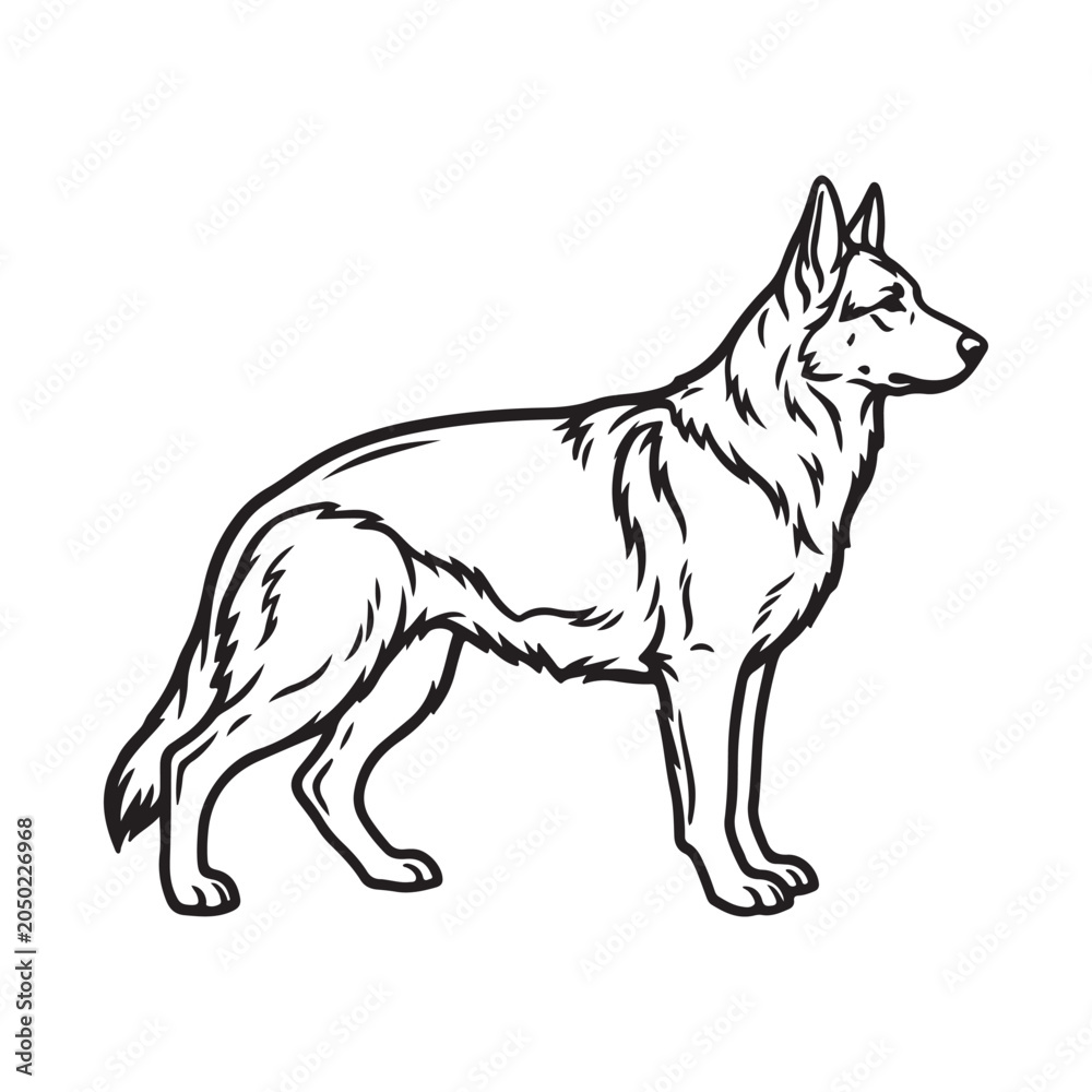 Fototapeta premium German shepherd dog line art illustration