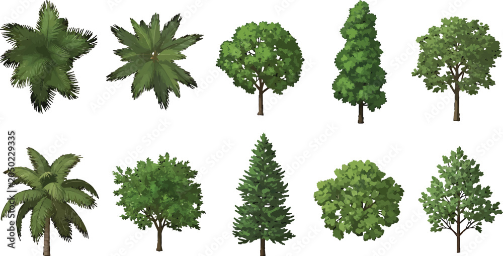 Fototapeta premium Set of various green trees and palm trees isolated on white background for landscape design vector illustration