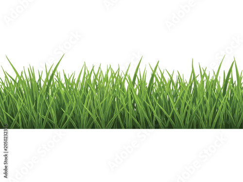 Vibrant green grass border isolated on white background
