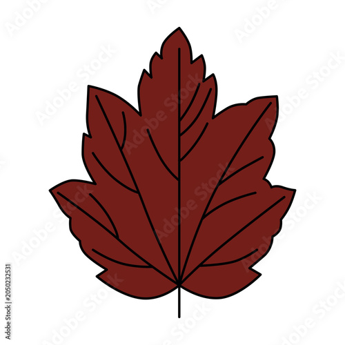 Burgundy Leaf Vector Illustration for Fall Decor. Ideal for seasonal designs, crafting projects. Perfect for adding an autumnal touch.