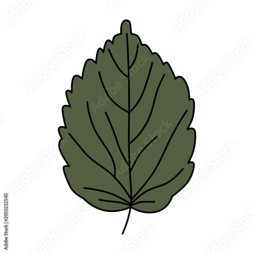 Green Leaf Vector Illustration with Simple Design. Perfect for botanical themes and nature projects