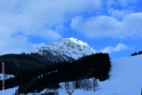 Winter in the Austrian Alps