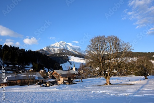 Winter in an Austrian Alpine village