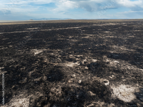 Blackened earth stretches across the landscape