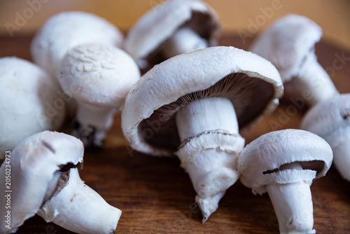 Fresh white Agaricus mushrooms on a wooden cutting board