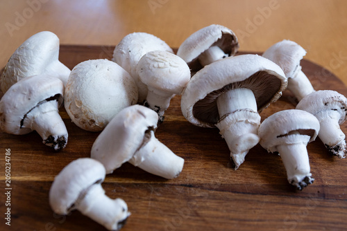Fresh white Agaricus mushrooms on a wooden cutting board