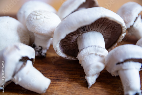 Macro shot of fresh white Agaricus mushrooms