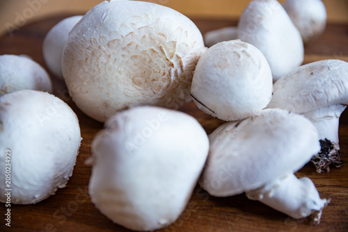 Close-up of fresh raw white Agaricus mushrooms on a wooden board