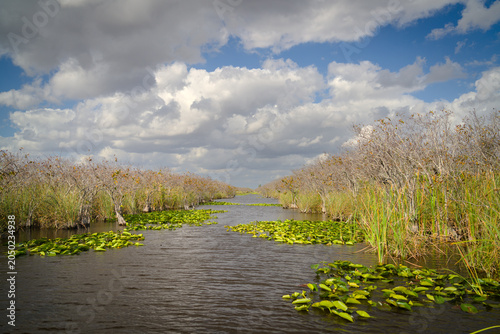 Wycieczka po Everglades