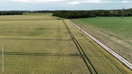 Vue aérienne de champs de blé bordés par un chemin rural et une lisière forestière en Seine-et-Marne