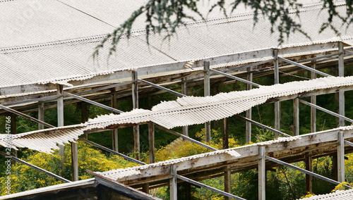 The damaged structure of a greenhouse with yellow flowers inside.