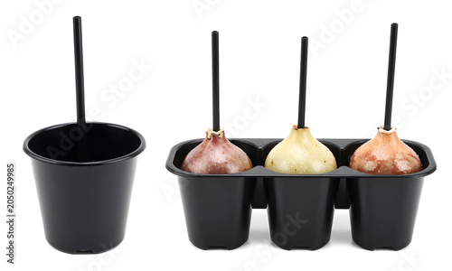 Juice Sample Pack