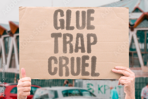 Fotografija "Glue trap cruel" Adhesive board causes unnecessary suffering